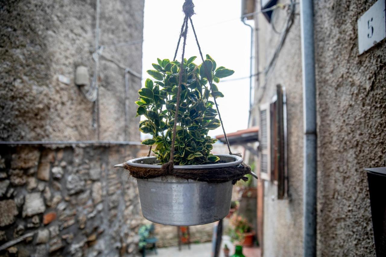Hotel Dimora Turistica de' Piazza Roccalvecce Esterno foto