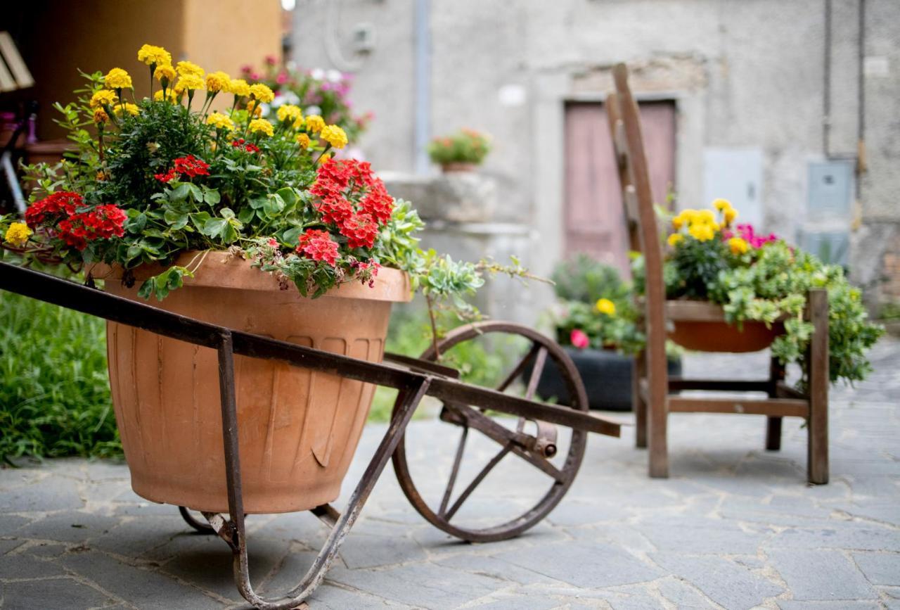 Hotel Dimora Turistica de' Piazza Roccalvecce Esterno foto